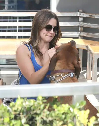 Sophia Bush's Hollywood Stroll: A Chic Day Out in Tinseltown