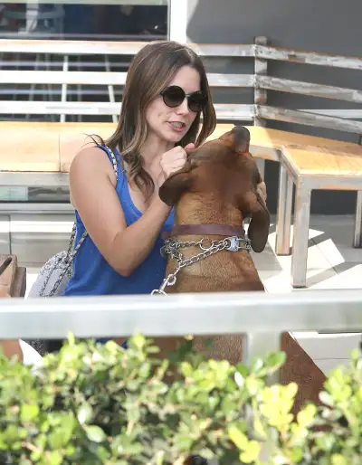 Sophia Bush's Hollywood Stroll: A Chic Day Out in Tinseltown