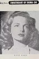 Elyse Knox