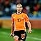 Wesley Sneijder